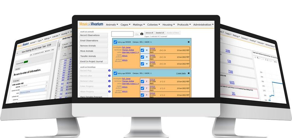 Mosaic Vivarium Screenshot 1