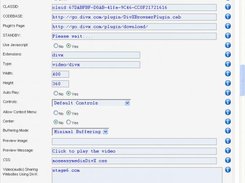 settings for .divx  files