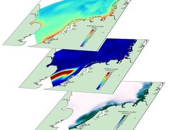 snapshots of coupled 3d simulation