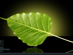 motioneyeOS Screenshot 2