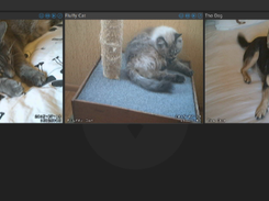 motionEyeOS Screenshot 1