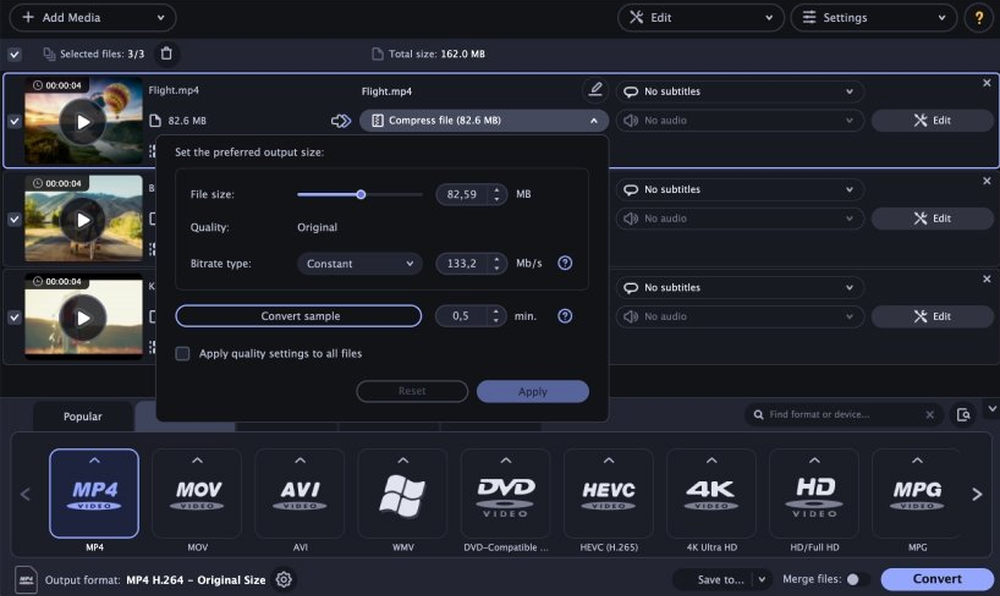 Movavi Video Converter Screenshot 1