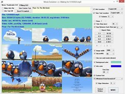 Movie Evolution by Hvcoabtap Main video for test