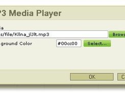 mp3player window with data