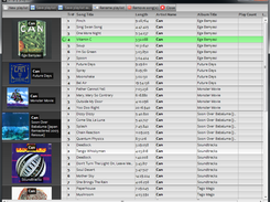 Playlist window