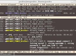 Respondendo e funo phpDoc... (MUTANTE_POWER_Brother)