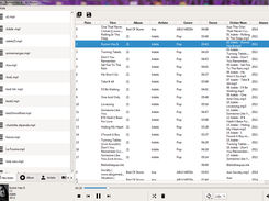 Capture Audio view2