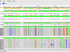 Zoomed out alignment with consensus sequence for each group