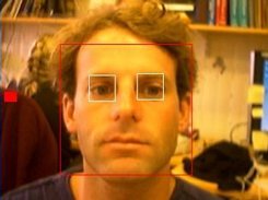 Illustration of the blink detection tool (eye open)