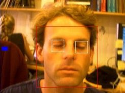 Illustration of the blink detection tool (eye closed)