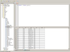 Query window