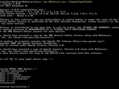 java -jar MrExtract.jar ./SampleInputFolder