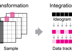 MS-Helios workflow