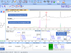 MS Workbook Suite Screenshot 3
