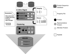 Workflow of the MScDB pipeline