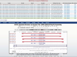 MSP-HTPrimer result page for PyroSeq primers