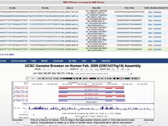MSP-HTPrimer result page for MSP