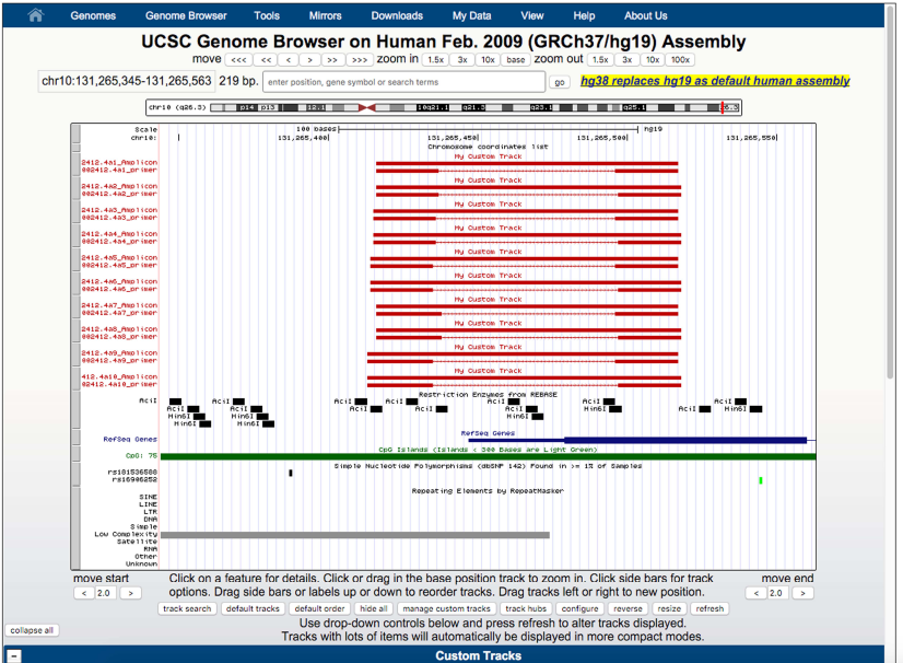 MSRE-HTPrimer UCSC view
