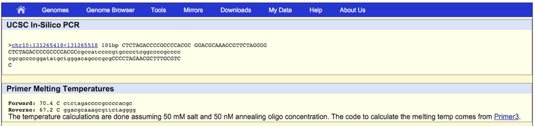 MSRE-HTPrimer UCSC InSilico PCR view