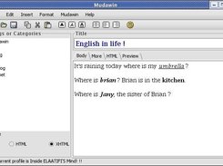 WYSIWYG Editor