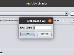 Tela de Captura do Certificado