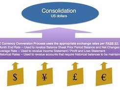 Tensoft Multi-National Consolidation Screenshot 1