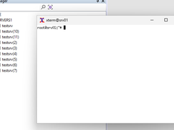 X Windows support