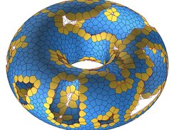 Partial Computation of a Torus