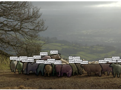 MultiPathNet Screenshot 1