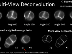 Comparison of multiview fusion and multiview deconvolution on a registered dataset of C. elegans consisting of 6 views