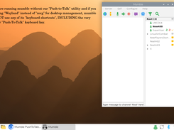 Mumble and Wayland WITHOUT this utility