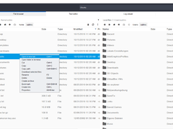 Muon SSH Terminal/SFTP client Screenshot 1