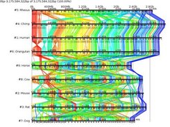 9 mammalian genome comparison