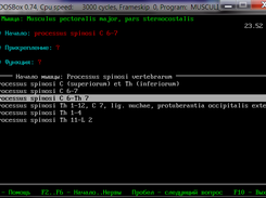 MusculiTest Screenshot 1