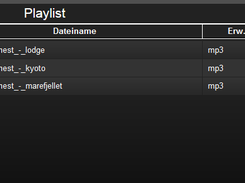 Playlist manager