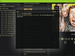 Browsing, filtering and searching the music library