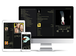 Fully responsive player for all your devices