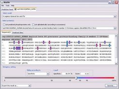2. Prediction Result Analysis Panel