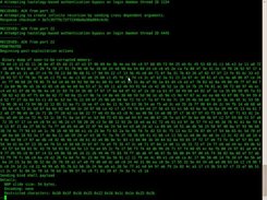 Fake hacking