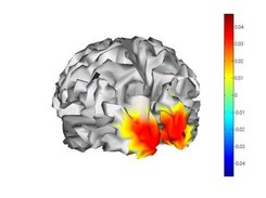 Spatial (retinotopic) coding - Searchlight MVPA