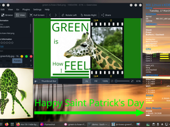Happy Saint Patrick's Day from JKI !