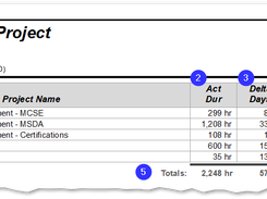 Reports: Project Rollup