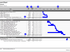 Reports: Gannt Chart