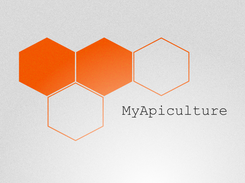 Splash Screen