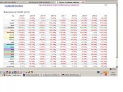 expenses view - basically a dynamic monthly Pivot view 