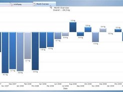 Month Overview