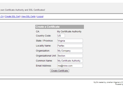 Step 3: Create your Certificate
