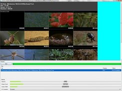 3. Screen grabber