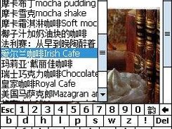 On WM5.0 Emulator