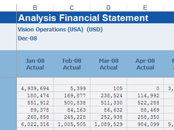 FSG report Output